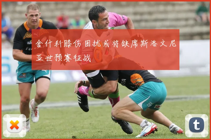 舍什科膝伤困扰或将缺席斯洛文尼亚世预赛征战